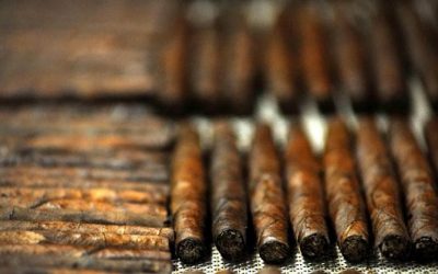 Maledetto Toscano: nasce il primo caveau del Sigaro Toscano con oltre 5mila sigari da collezione