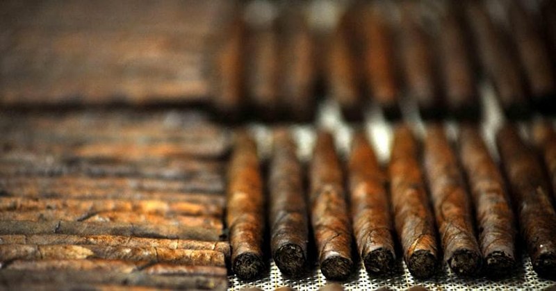 Maledetto Toscano: nasce il primo caveau del Sigaro Toscano con oltre 5mila sigari da collezione